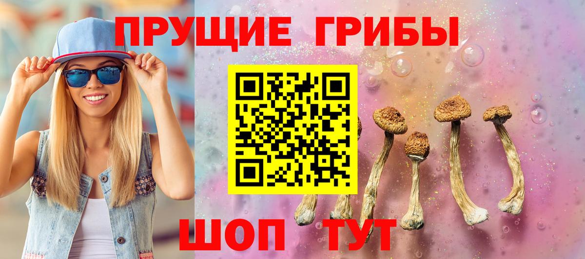 Галлюциногенные грибы MAGIC MUSHROOMS  Вход с VPN  Сальск 